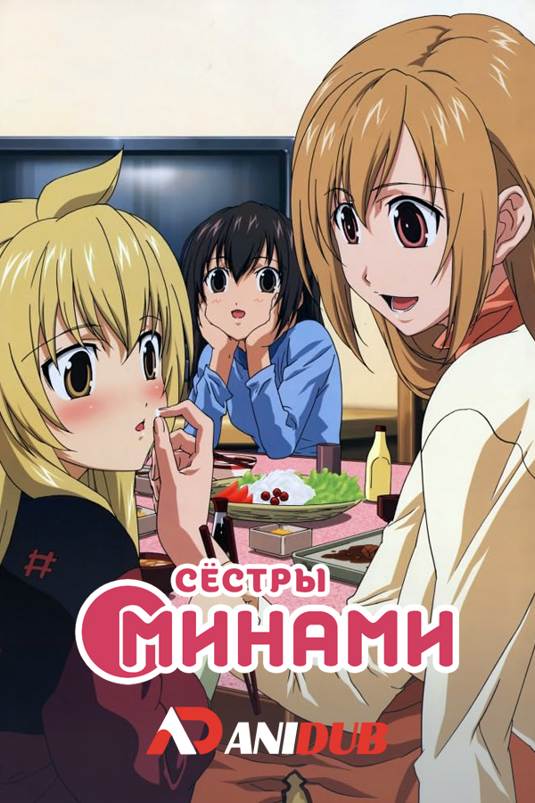 Сёстры Минами ТВ-2 / Minami-ke Okawari [13 из 13]